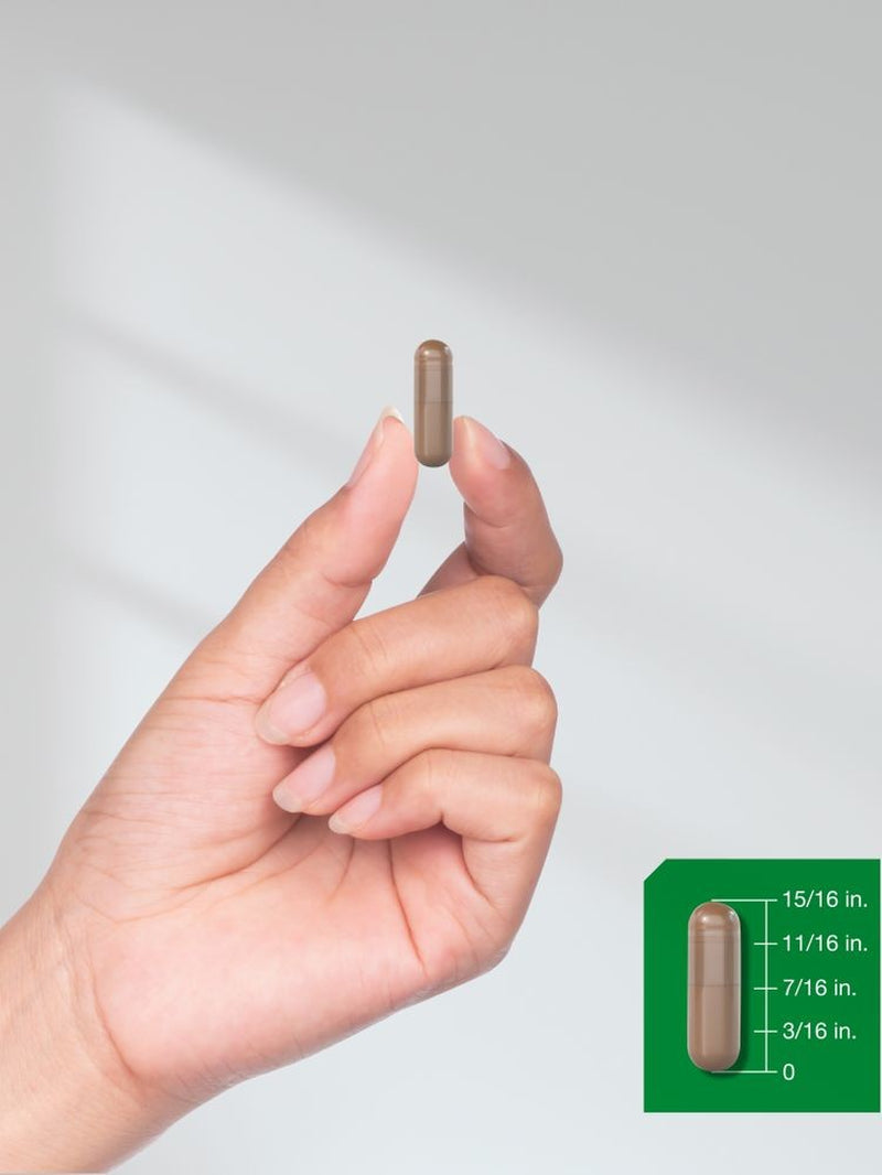 Lions Mane Mushroom Capsules | 4200Mg | 120 Count | Vegetarian | by Horbaach