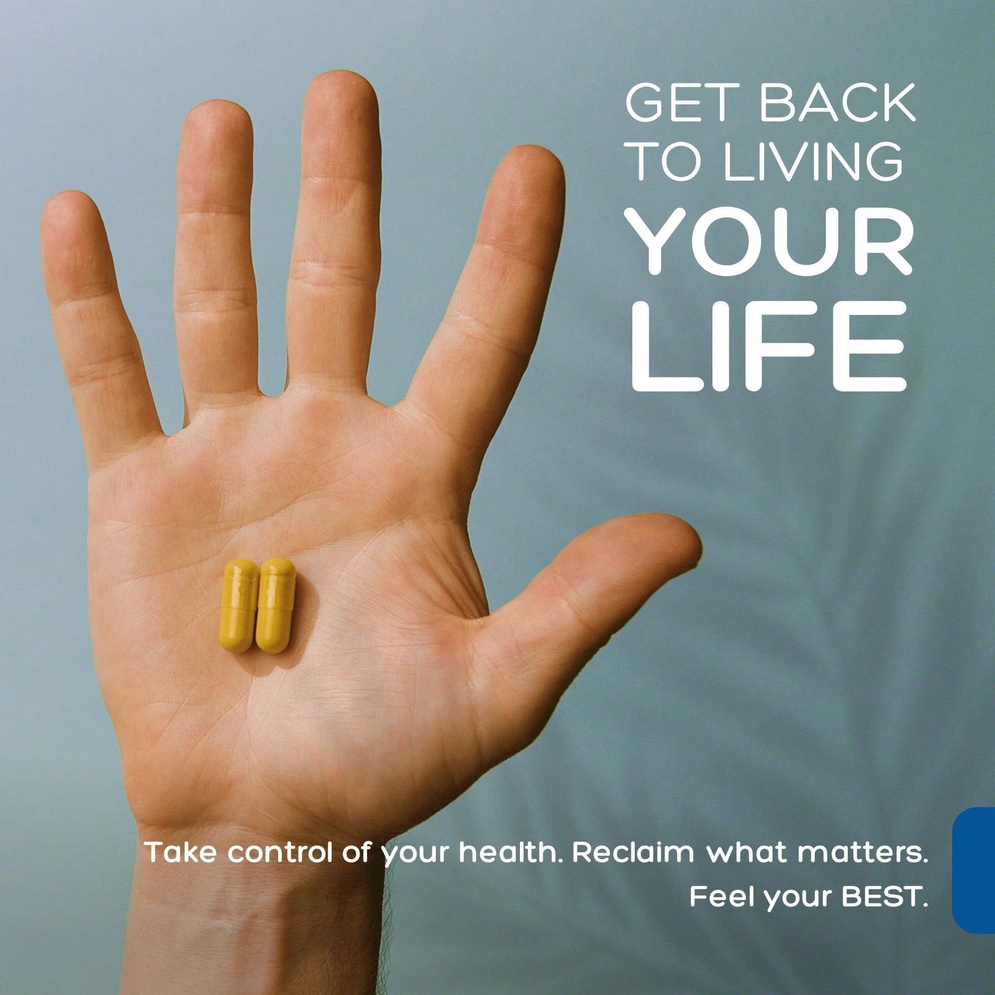 Biofilm Defense Complex - Multivitamin Turmeric & Pomegranate - 60 Capsules - Palmara Health