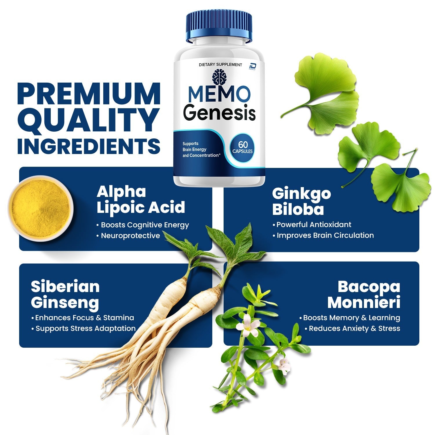 (1 Pack) Memo Genesis Supplement Capsules – Memogenesis Natural Blend Memory