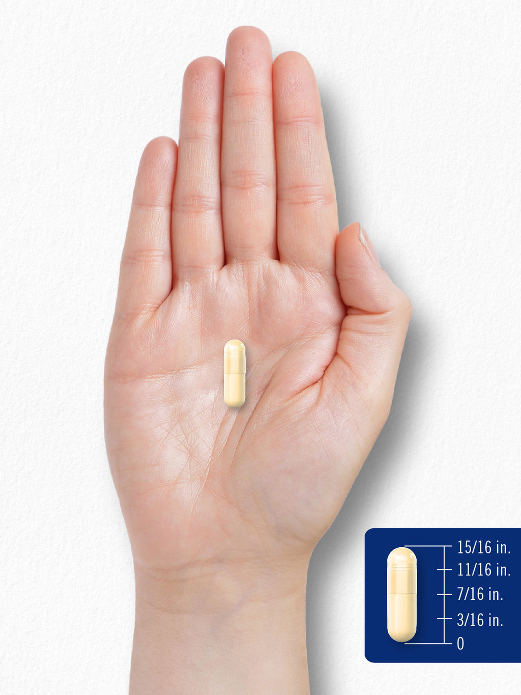 Alpha Lipoic Acid 600Mg | plus Biotin Optimizer | 90 Capsules | by Carlyle