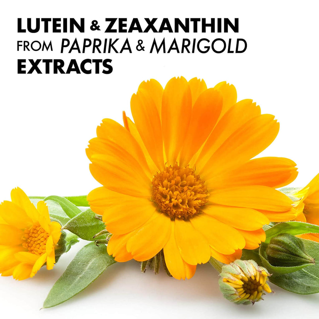 Bluebonnet Zeaxanthin & Lutein 60 Softgels