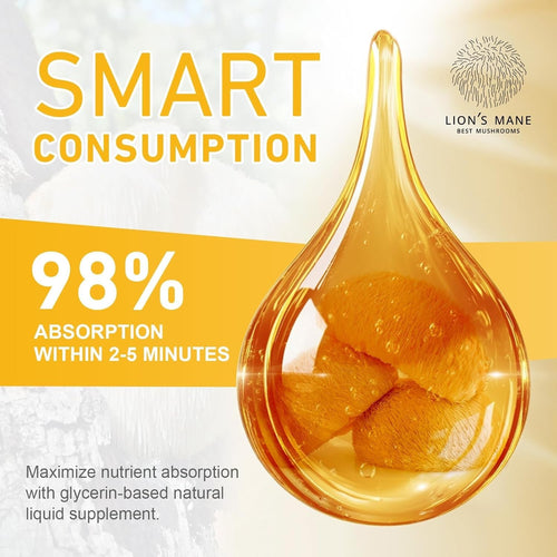Lions Mane Mushroom Supplement Drops - Organic Lion'S Mane Mushroom Liquid Tinct